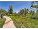 Picturesque open space showcasing a curved walking path and a border of lush green trees at 22560 E Ontario Dr # 204, Aurora, CO 80016