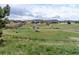 A dog park with exercise equipment in a green space with walking trail and scattered shady trees at 3760 Ute Mountain Trl, Castle Rock, CO 80109