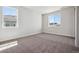 Bright bedroom featuring neutral walls, carpet, and windows providing ample natural light at 4949 Hickory Oaks St, Castle Rock, CO 80104