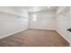 Walk-in closet with carpet and wire shelving providing ample storage and natural light at 4949 Hickory Oaks St, Castle Rock, CO 80104