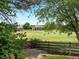 Scenic backyard view overlooking a golf course, showcasing mature trees and neighborhood houses at 280 E 11Th Ave, Broomfield, CO 80020