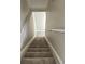 Carpeted staircase leading upwards to the next level of the home at 9011 Sandpiper Dr, Longmont, CO 80504