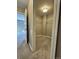 Spacious walk-in closet with carpet and wire shelving at 9011 Sandpiper Dr, Longmont, CO 80504