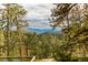 Scenic mountain views framed by lush trees from the property at 4850 Forest Hill Rd, Evergreen, CO 80439