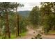 Tree-lined neighborhood with a house and surrounding nature at 4850 Forest Hill Rd, Evergreen, CO 80439