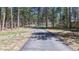 Long paved driveway winding through a picturesque landscape with mature trees and lush greenery at 12655 Greenland Acres Rd, Larkspur, CO 80118