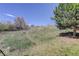 Large lot with trees and tall grasses perfect for enjoying the outdoors at 6821 W Yale Ave, Lakewood, CO 80227