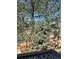 Backyard bordered by a wood fence, with mature trees at 6821 W Yale Ave, Lakewood, CO 80227