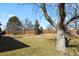 Fenced backyard offers privacy with a large tree, lawn and plenty of space for outdoor living at 9161 W Hialeah Pl, Littleton, CO 80123