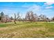Spacious backyard with a lush green lawn, mature trees, and ample space for outdoor activities at 6196 S Rosewood Dr, Littleton, CO 80121