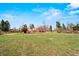 Spacious backyard with a lush green lawn, mature trees, and a herd of deer grazing at 6196 S Rosewood Dr, Littleton, CO 80121