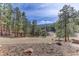 Expansive backyard with scenic mountain views surrounded by lush trees, a perfect setting for outdoor activities at 205 Yankee Creek Trl, Evergreen, CO 80439