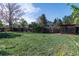 Fenced backyard with lush grass at 11098 Fairfax Way, Thornton, CO 80233