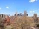 Stunning city skyline view with mature trees in the foreground, showcasing urban living at 1130 N N Pennsylvania St # 306, Denver, CO 80203