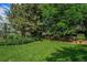 Serene backyard with mature trees and greenery, creating a tranquil outdoor oasis at 1010 Home Farm Cir, Denver, CO 80234