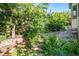 Picturesque backyard with stone stairs, vibrant greenery, and mature trees, creating a serene outdoor retreat at 1010 Home Farm Cir, Denver, CO 80234