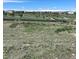 A picturesque community view showcasing green spaces, walking paths, and well-maintained homes in a vibrant neighborhood at 14533 Hudson Way, Thornton, CO 80602