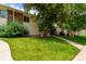 Residential exterior featuring a well-maintained lawn, mature tree and a walkway leading to the front door at 1005 S Miller Way, Lakewood, CO 80226