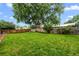 Large, grassy backyard featuring a mature shade tree and a wood fence, perfect for outdoor activities at 4550 E 121St Pl, Thornton, CO 80241