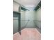 Empty walk-in closet with racks and shelves and light carpet at 6404 Silver Mesa Dr # E, Highlands Ranch, CO 80130
