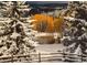 Snowy winter scene with a picturesque pond and birch trees, creating a serene landscape at 27436 Kennedy Gulch Rd, Conifer, CO 80433
