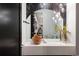 Unique bathroom featuring a vessel sink, pendant lighting, and large mirror, offering style and sophistication at 2495 Red Hawk Pl, Broomfield, CO 80023