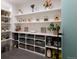 Well-organized pantry with ample shelving and storage, showcasing various food items and kitchen appliances at 2495 Red Hawk Pl, Broomfield, CO 80023