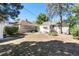 Spacious backyard with a shed, mature trees, and plenty of space for gardening at 4110 Yates St, Denver, CO 80212