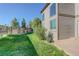 Well-manicured backyard with green lawn, mature trees, and landscaping at 11680 Crow Hill Dr, Parker, CO 80134