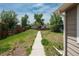 A well-sized backyard with a long walkway, wooden fence, a shed and lush green trees at 3629 W Custer Pl, Denver, CO 80219