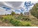 Expansive fenced-in garden with diverse greenery and distant view of home at 18715 Wagon Trl, Mead, CO 80542