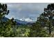 Scenic mountain view framed by lush green trees at 207 County Road 65, Evergreen, CO 80439