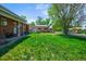 Expansive grassy backyard featuring storage sheds and mature trees at 245 S 13Th Ave, Brighton, CO 80601