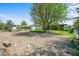 Large backyard with gravel area, mature tree, and partial fencing at 245 S 13Th Ave, Brighton, CO 80601