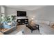 Cozy living room with neutral walls, plush seating, a large TV, and stylish decor, creating a welcoming atmosphere at 5170 Deephaven Ct, Denver, CO 80239