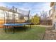 Artificial grass in the backyard, featuring a trampoline with safety net at 4334 Lisbon St, Denver, CO 80249