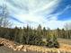 Wooded lot with mountain views at 10518 Christopher Dr, Conifer, CO 80433