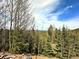 Mountain views from a wooded lot at 10518 Christopher Dr, Conifer, CO 80433