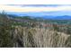 Panoramic mountain views from this secluded location at 10518 Christopher Dr, Conifer, CO 80433