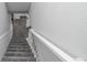 Carpeted stairway with white banister, transitioning to a finished basement space at 8511 Cherry Ln, Westminster, CO 80031