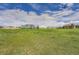 Expansive grassy backyard with a blue two-story home in the background under a blue sky at 41975 Muirfield Loop, Elizabeth, CO 80107