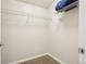 Walk in closet with carpet floor and wire rack shelves at 12638 James Pt, Broomfield, CO 80020