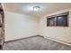 Bedroom featuring plush carpet and a window for natural light, offering a cozy and inviting space at 21191 Pleasant Park Rd, Conifer, CO 80433