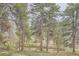 Scenic landscape view of trees and a peaceful pond for privacy and serene views at 21191 Pleasant Park Rd, Conifer, CO 80433
