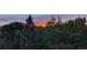 Beautiful orange and pink sunset sky seen through green trees at 7715 Estes Ct, Arvada, CO 80005