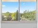 Large picture window framing a serene view of lush green trees and a blue sky at 7715 Estes Ct, Arvada, CO 80005