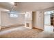 Finished basement offers cozy carpeting and a classic fireplace with a brick surround, plus a finished storage room at 1259 S Elizabeth St, Denver, CO 80210