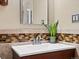 Bathroom featuring a modern sink, mosaic tile backsplash, and a rectangular mirror at 4391 S Tabor Ct, Morrison, CO 80465