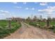 Picturesque property featuring a long driveway leading to a charming home, surrounded by mature trees and open fields at 3559 Meadow Ln, Brighton, CO 80603