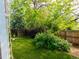 A lush backyard features vibrant green grass and landscaping, complemented by privacy fencing and mature trees at 8908 Jellison Ct, Westminster, CO 80021